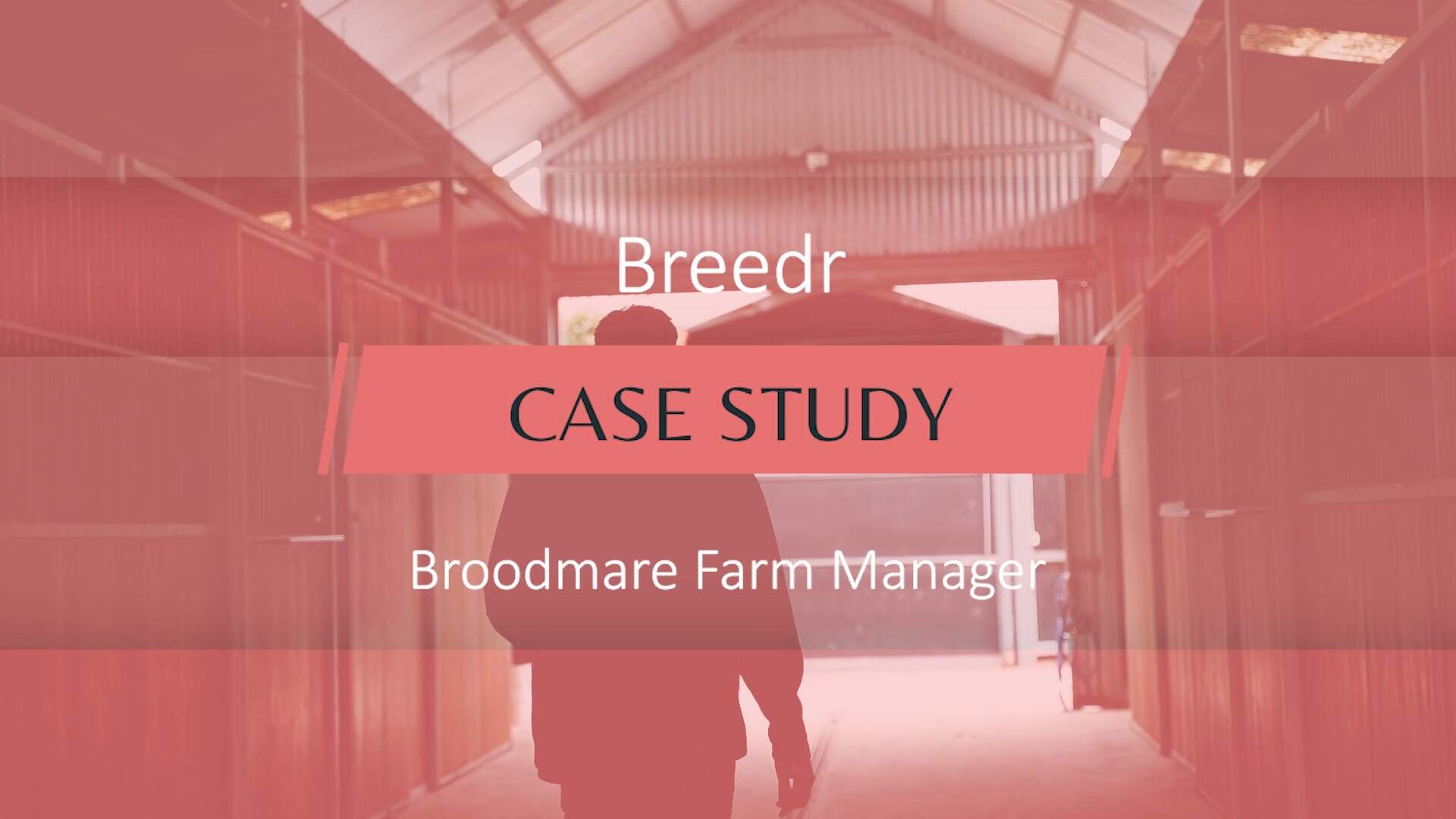 Case study Broodmare Farm Manager